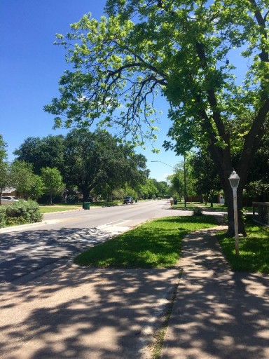 Crestview, Austin Texas, April 2016 (2)