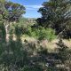 3604 Easy Money St - Lot For Sale in Grand Mesa at Crystal Falls